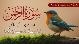 Download Lagu ✅SURAH RAHMAN | URDO TARJUMA KE SATH | BY QARI AL SHAIKH ABDUL BASIT ABDUL SAMAD | EPISODE _0001 MP3 Download Lagu ✅SURAH RAHMAN | URDO TARJUMA KE SATH | BY QARI AL SHAIKH ABDUL BASIT ABDUL SAMAD | EPISODE _0001 MP3