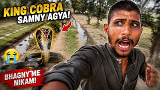 Mout Se Bach Gaya 😭 King Cobra Attack 