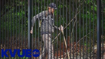 New numbers show those experiencing homelessness in Austin has increased | KVUE