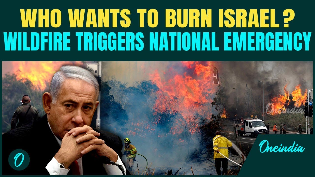 Israel’s WORST Wildfire in Years Sparks National Emergency | Arsonist Arrested Who Started The Fire