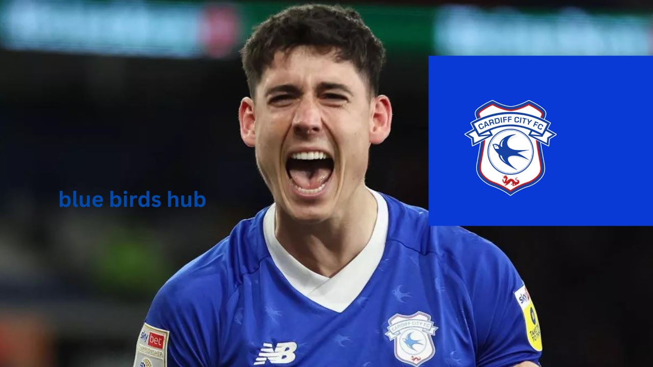 BLUE BIRDS HUB FC Live Stream