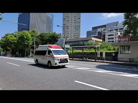 東京消防庁ハイメ緊急走行
