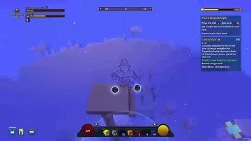 How do you learn to fly in trove