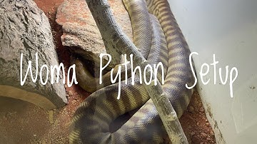 Moving My Woma Python to Her New Enclosure