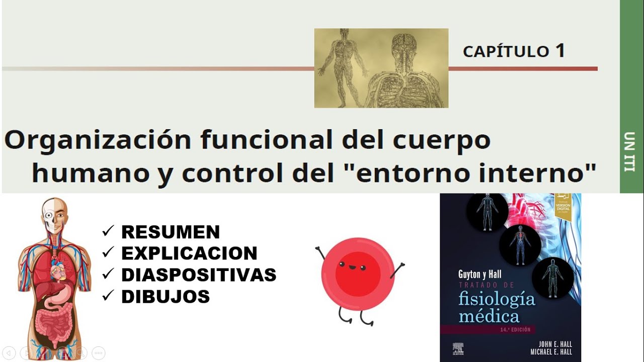 FISIOLOGÍA:ORGANIZACIÓN FUNCIONAL DEL CUERPO HUMANO y CONTROL DEL MEDIO ...