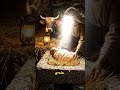 Jesus Christ - Part 1 #history #antique #information