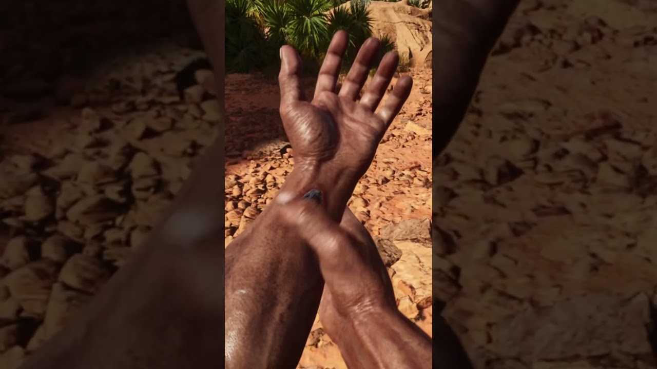 WAKING UP ON THE SCORCHED EARTH ARK FOR THE FIRST TIME 