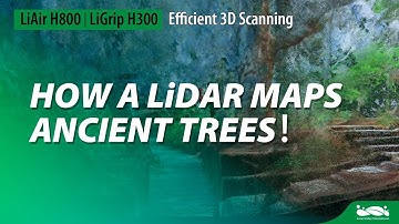 How a LiDAR Maps Ancient Trees！