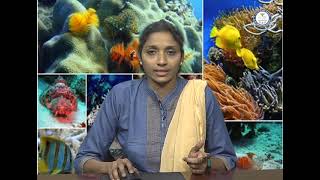BRAOU : UG Zoology , 1st year 2nd semester : Pisces and Amphibia