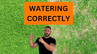 Mastering Bermudagrass: Essential Watering Tips Revealed