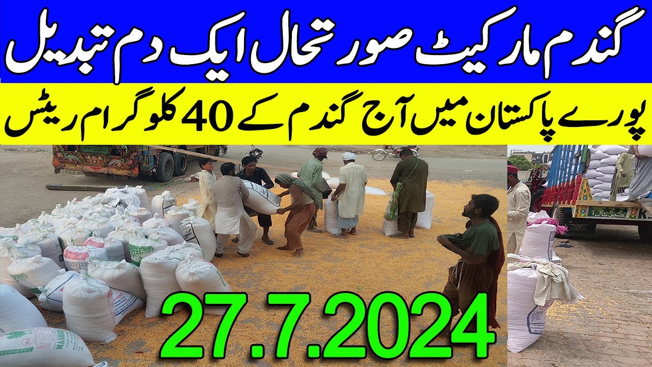 New Gundam rate today in Punjab Pakistan 2024 || Wheat rates - YouTube