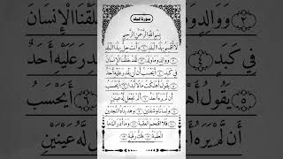 You Won_t Believe the Powerful Message in Surah Al-Balad# Life-Changing Quran Recitation