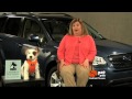 Which Pet Car Harness Is Safest?