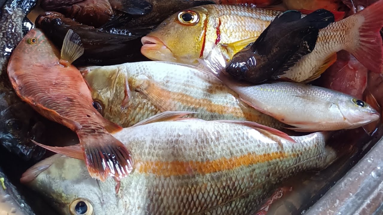 FIRST CLASS ANG MGA ISDA NATIN NGAYON