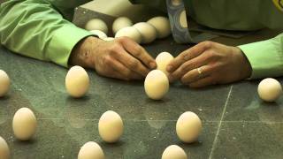 World Record: Fastest Time to Balance a Dozen Eggs