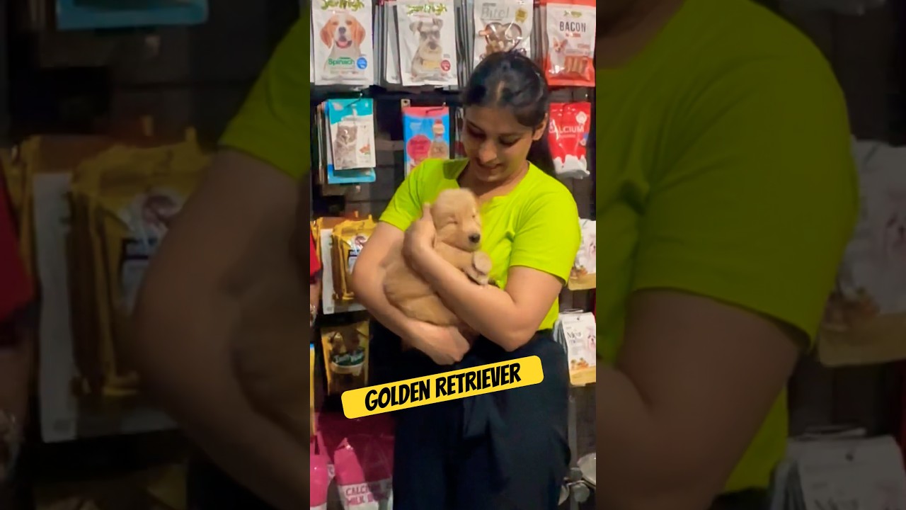 Video cover for Priya Sharma