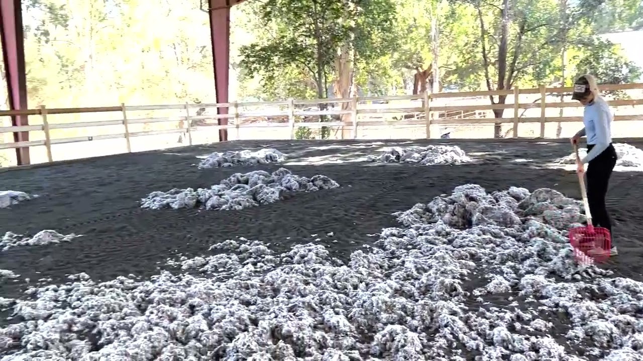 A Dusty Riding Arena in California is Transformed with the help of TruTex Footing