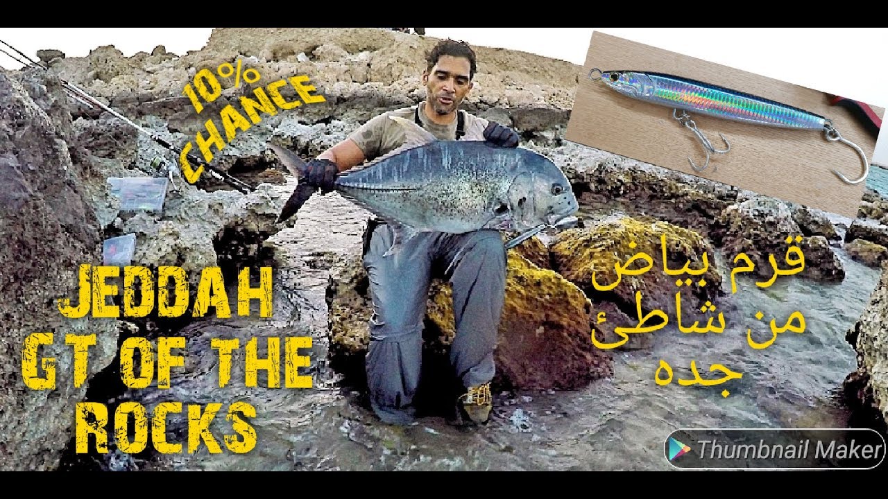 بياض قرم متعافي اصعب سمكه من شاطئ جده    Jeddah shore GT casting popping سامر الشهيب