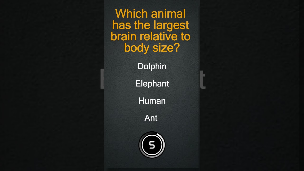 Can You Get All 5 Right? Test Your General Knowledge Now!