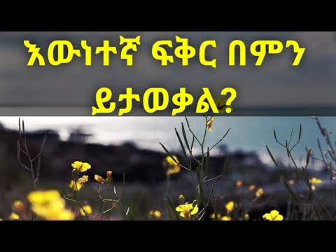 ቪዲዮ: የእውነተኛ ያልሆነ ገነት