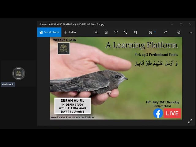 In-depth Study with Aiasha Amir