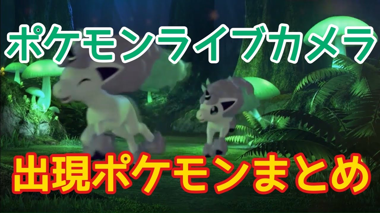 ポケモン剣盾 ポケモンライブカメラ 出現ポケモンまとめ ポケットモンスター ソード シールド Youtube