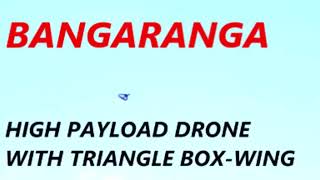 BANGARANGA !! WORLD PATENT NOVELTY first ever DRONE with thin low cost swept box-wing NEWLY PATENTED
