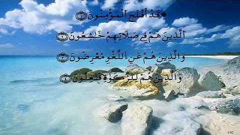 سورة المؤمنون//لفضيلة الشيخ محمد أبو سنينة