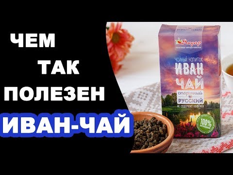 ИВАН ЧАЙ: полезные свойства, противопоказания, рецепты народной медицины при повышенном давлении