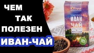 видео Какие лечебные свойства имеет иван-чай?