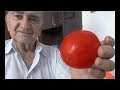 El huerto de Isidro: 18. Semilla del tomate de pera