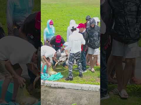 Trailer Giải câu tranh cúp SAVIC mùa 1 - VŨ MÔN Fishing.