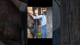 This Might Be the Most Dishonorable Thing You Can Do in the Entire Game  #rdr2 #shorts