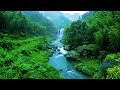 River Waterfall Flowing in a Mountain Forest 24/7. Waterfall Sounds. White Noise for Sleeping #5