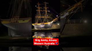 Mysterious History Of The Brig Amity, Albany