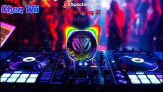 你的样子 - 抖音DJ版2022 Ni De Yang Zi【Penampilanmu 】  By Chen Wii Pinyin,Indonesian Translation