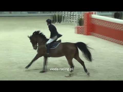 Konkurs Potgi Skoku - Warsaw Horse Days - 26.03.20...