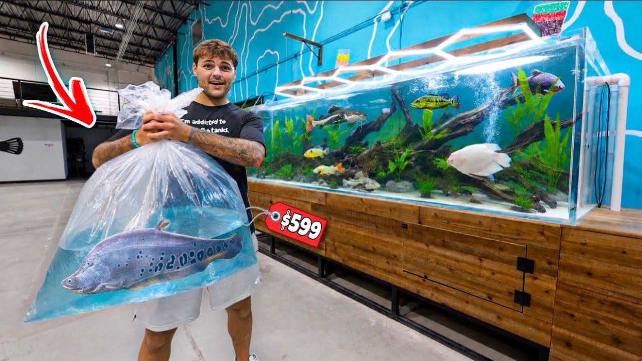 Buying MONSTER INVASIVE FISH for 2000G AQUARIUM!!