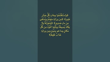 سورة إبراهيم وَاسْتَفْتَحُوا وَخَابَ كُلُّ جَبَّارٍ عَنِيدٍ   🌹🌹#سورة_إبراهيم