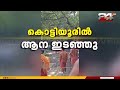 കൊട്ടിയൂരിൽ ആന ഇടഞ്ഞു; അക്കരെ കൊട്ടിയൂരിൽ എഴുന്നള്ളത്തിന് എത്തിച്ച ആനയാണ് ഇടഞ്ഞത് | Kannur