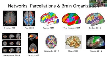 Thomas Yeo: Human brain network organization across different timescales