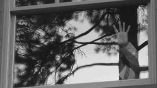 Calculus Reflections