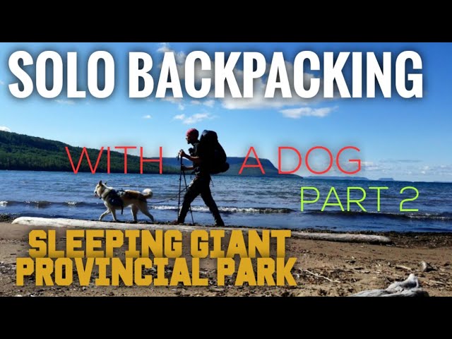 solo backpacking with a dog