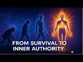 The Evolution of Human Consciousness: From Survival to Inner Authority