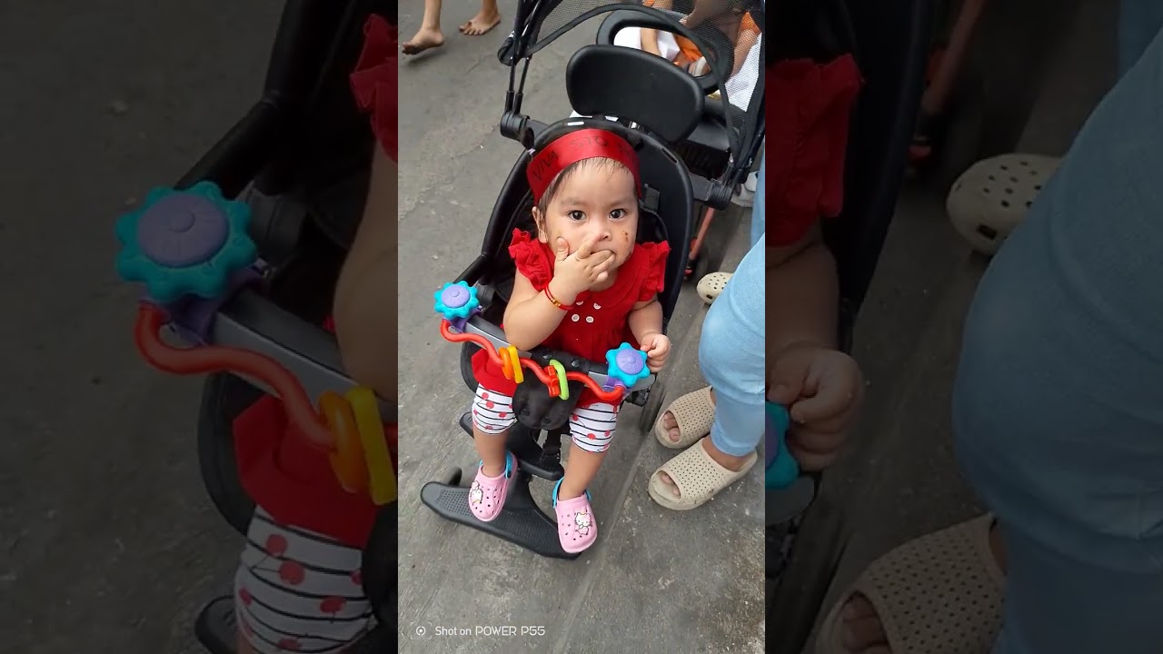 Viva pet señior malibay  