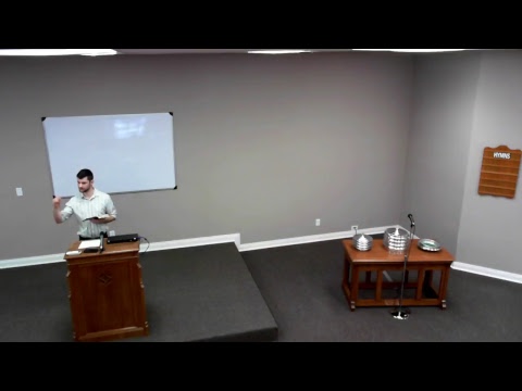 Video preview
