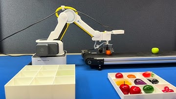 Conveyor Belt Fruit Sorting (Voice Feedback) | YOLO on Hailo-8 + Robotic Arm on Raspberry Pi 5