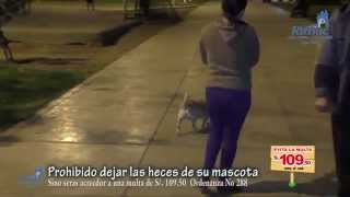 Multa a dueños por no recoger excremento de sus mascotas - Municipalidad del Rímac