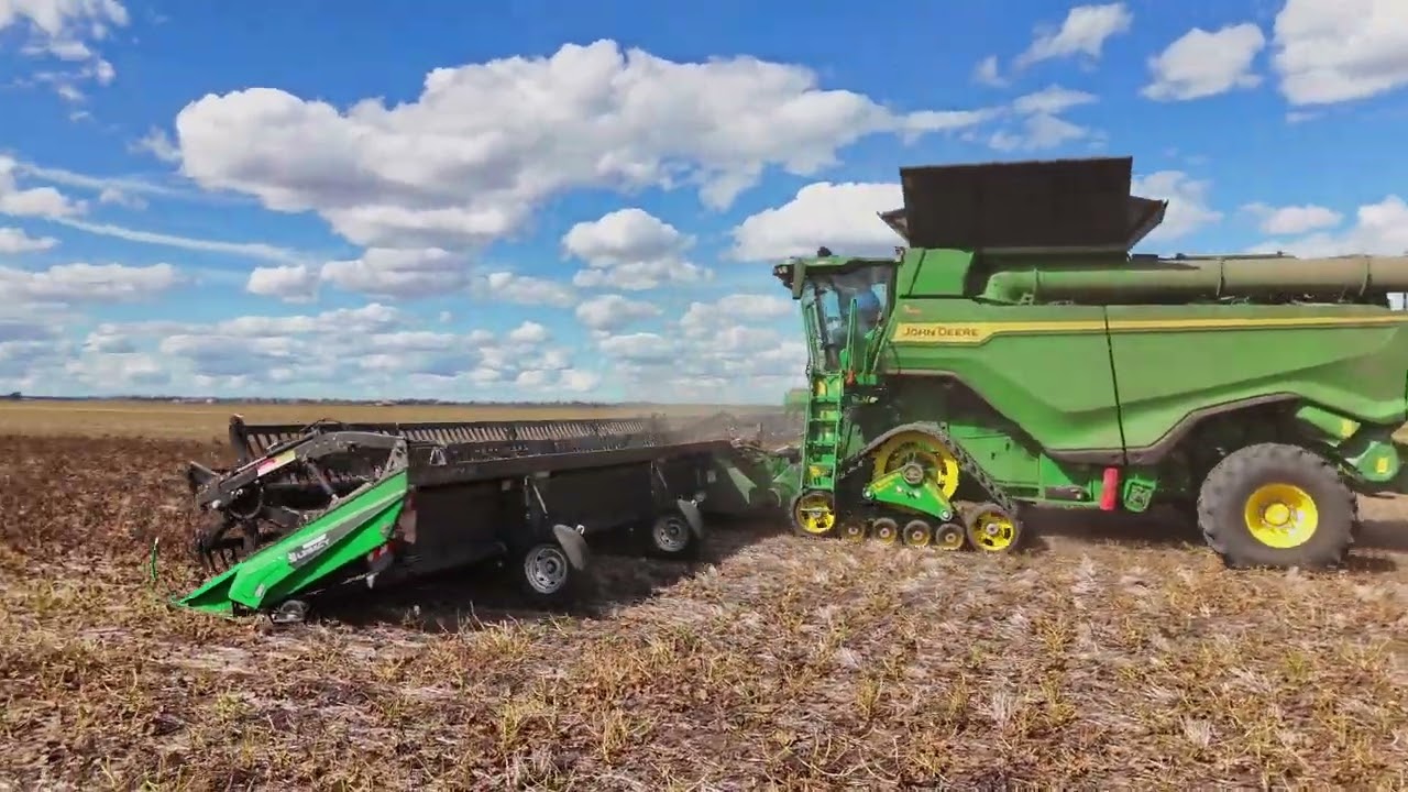 Midwest Mung Beans Harvest