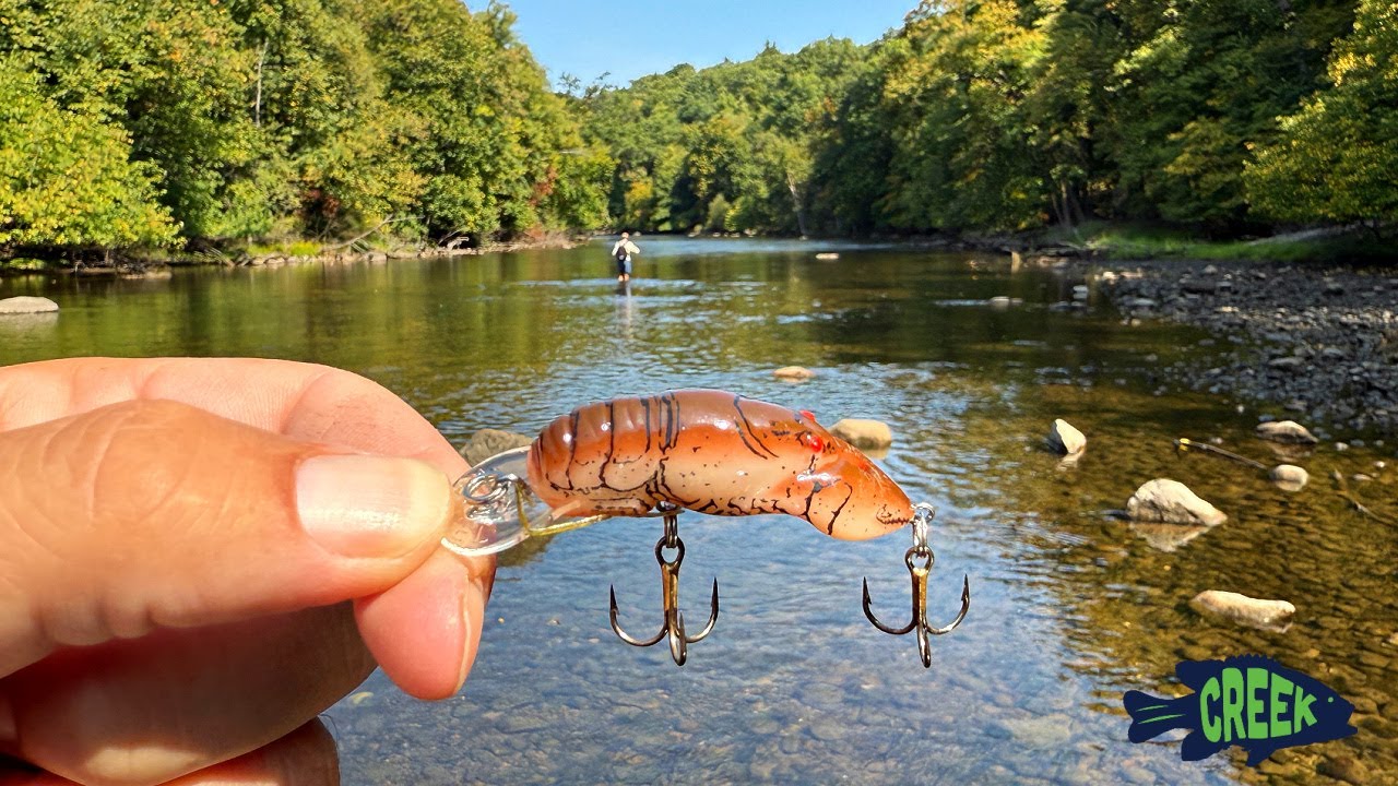 Переход по мелководной реке с Rebel Craw